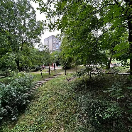 Sasha 2 * Belgrade
